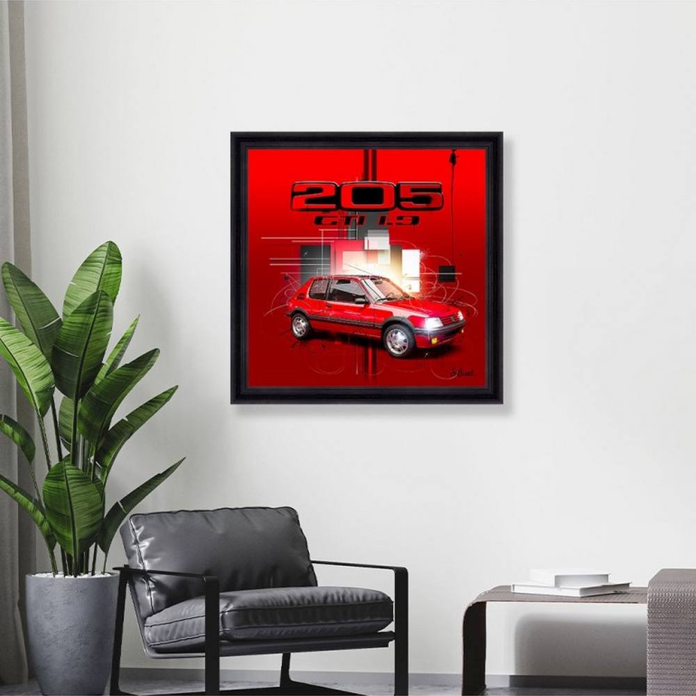 cadre sylvain binet 205 GTI 1.9