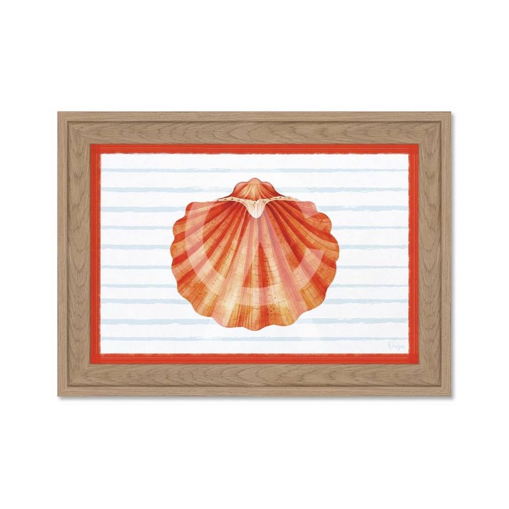 Mini Cadre Coquille Saint Jacques