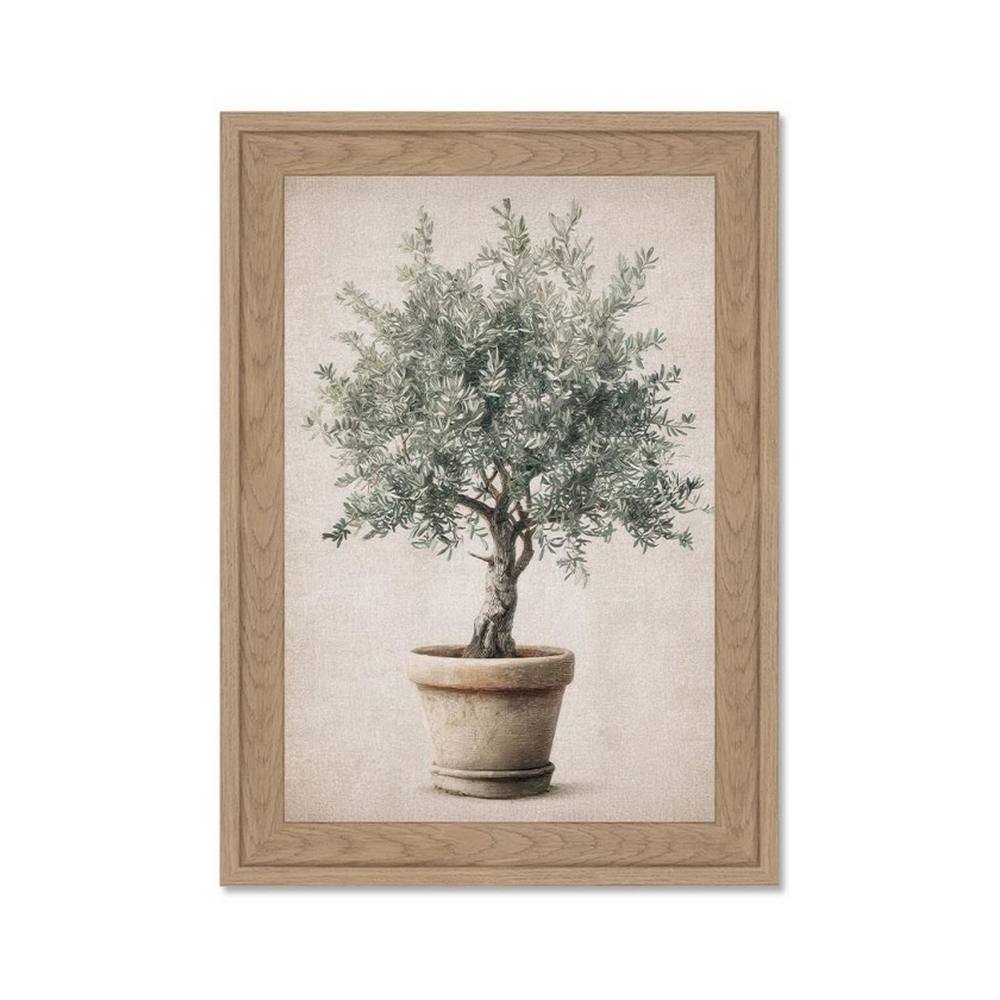 Mini Cadre Olivier Méditerranéen