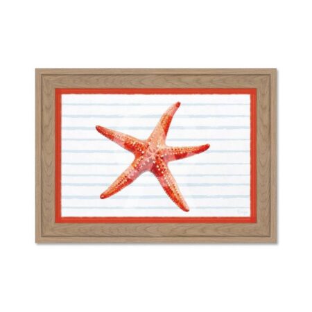 Petite Déco Étoile de Mer