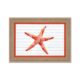 Petite Déco Étoile de Mer