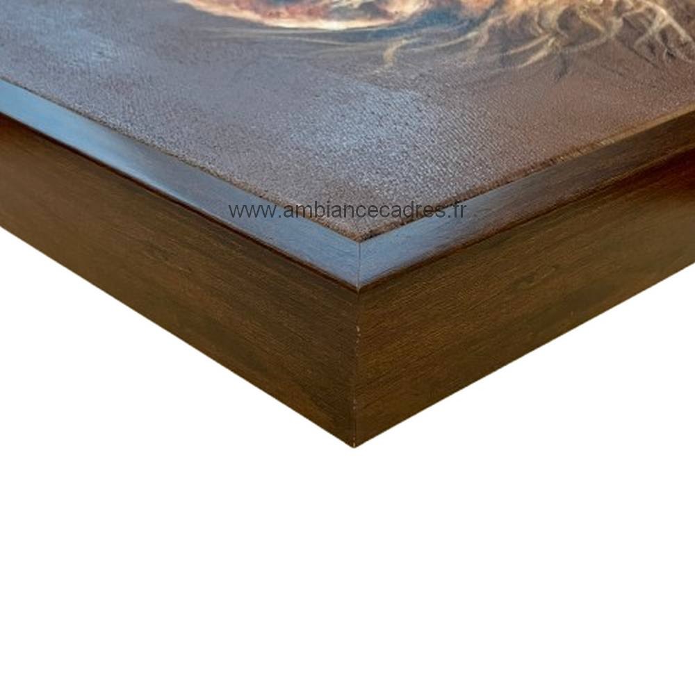 angle_encadrement_toiles_animaux Angle encadrement toiles animaux