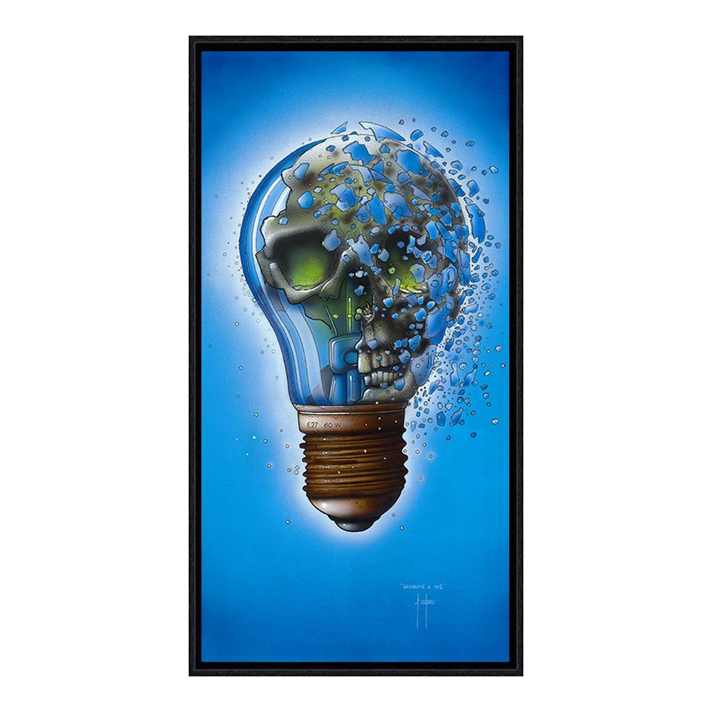 Cadre Garantie à Vie Coadou