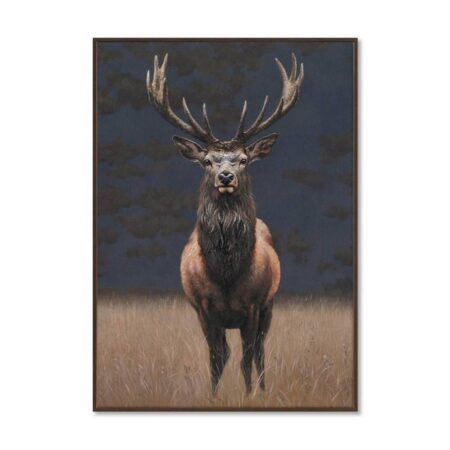 Toile Cerf Encadrée Décoration Murale