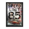 Vintage Speed Limit