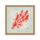 Tableau Moderne Algues Orange Orya