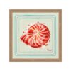 Tableau Coquillage Orange Orya