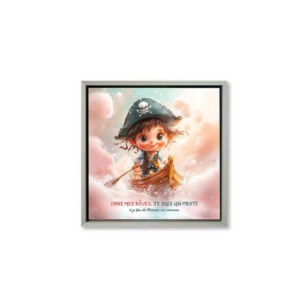 Toile Encadrée Fantastique Pirate