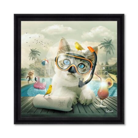 Chat Piscine