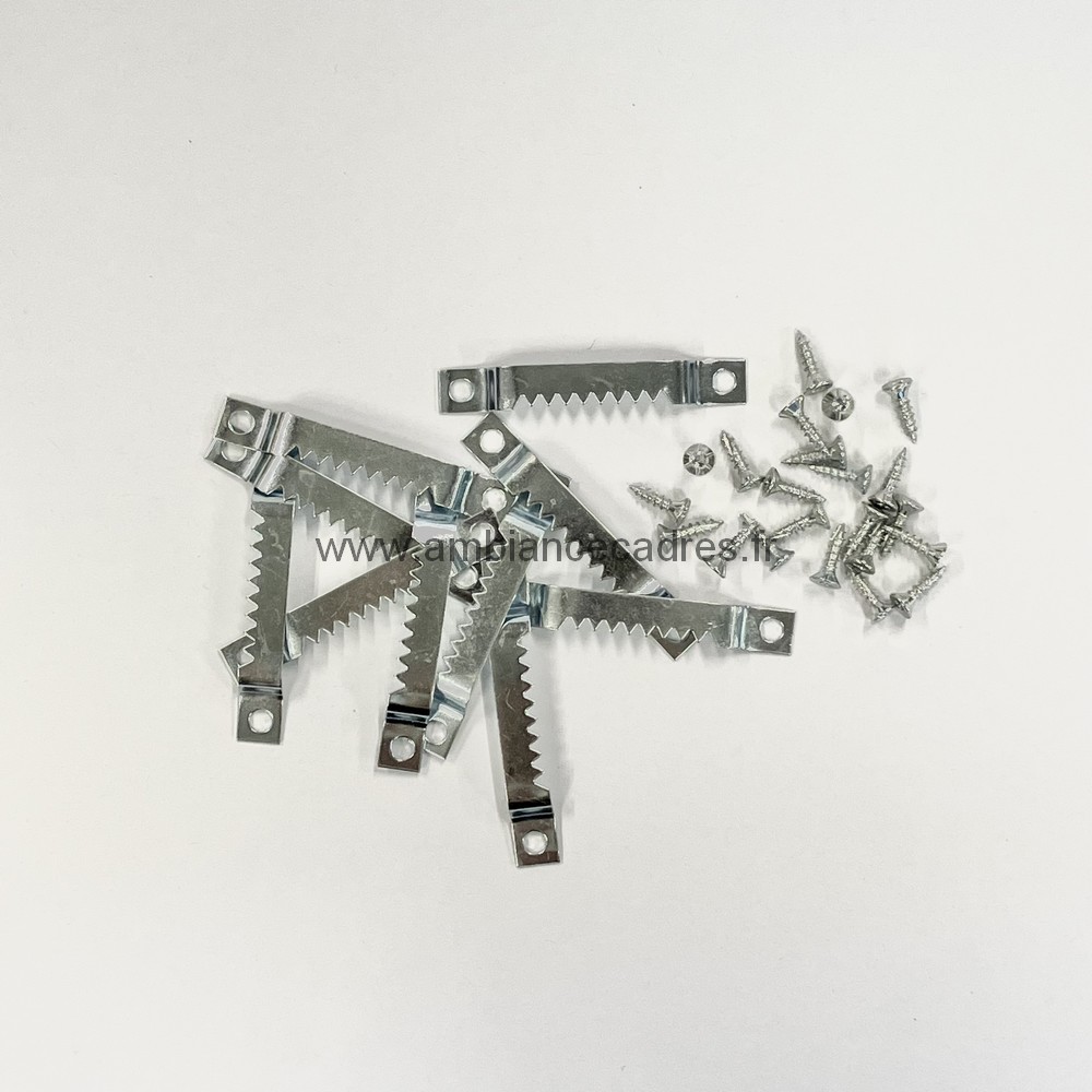 Lot de 10 Petites Attaches Crocodile+Vis